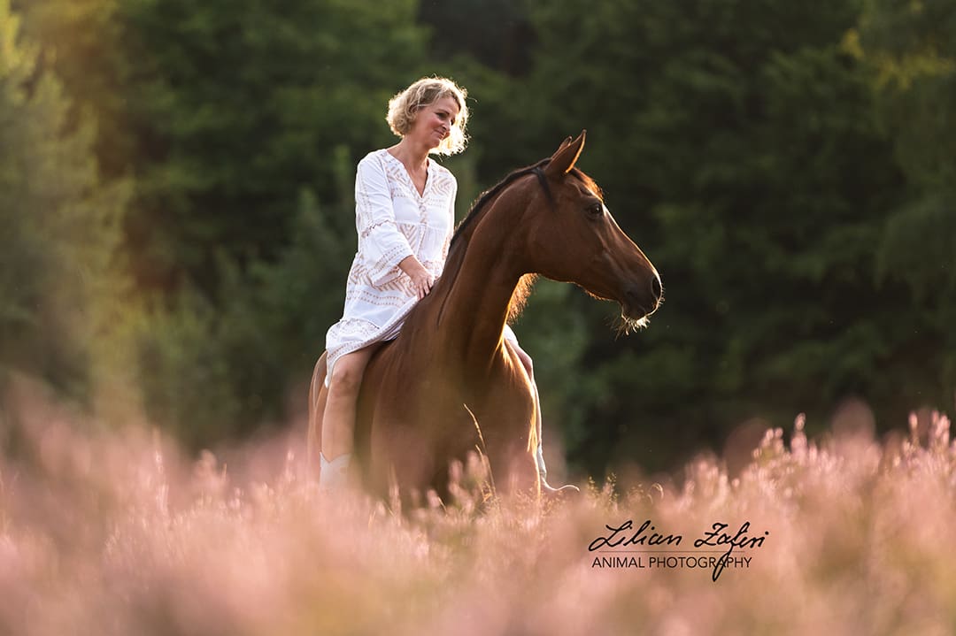 Heideshooting Pferd Frankfurt