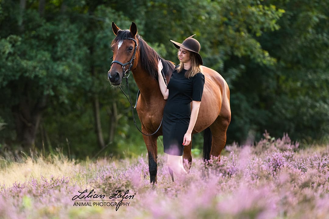 Heideshooting Pferd Frankfurt
